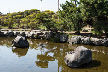Naklejka premium 和風の池庭