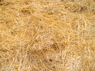 straw for horses texture