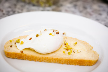 egg Benedict on a slice of fresh white bread