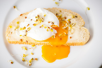 egg Benedict on a slice of fresh white bread