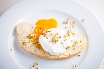 egg Benedict on a slice of fresh white bread