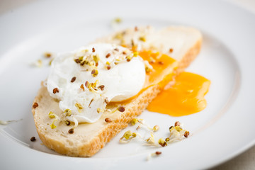 egg Benedict on a slice of fresh white bread