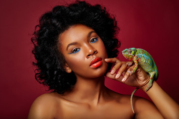 beautiful woman holding chameleon - 204726496