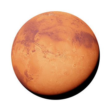 Fototapeta the red planet Mars isolated on white background, part of the solar system