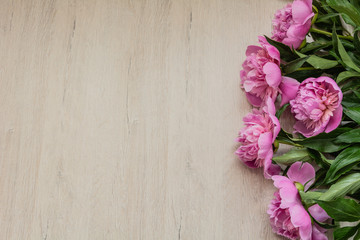 Beautiful pink peonies for Mother's Day