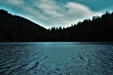 водная гладь озера среди леса и гор
