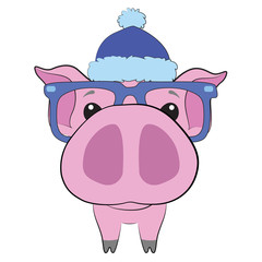 Cute pig with big nose, glasses and hat on white background