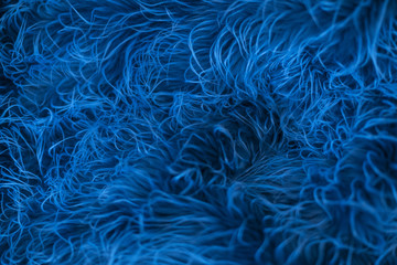 Blue marine like fur