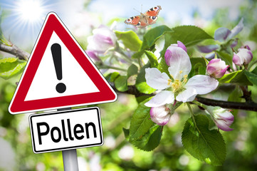Schild mit Achtung Pollen Heuschnupfen Allergie Allergiker