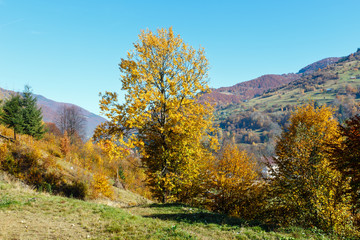 Fototapeta premium Autumn Carpathian mountains, Ukraine
