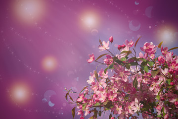 Blossom tree on nature background. Beautiful spring scene with blooming tree, flowers and sunshine in blur style. Pink flower border, frame