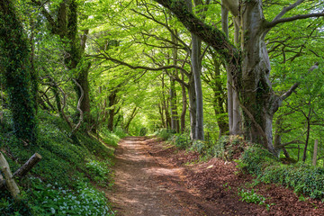 The Fosse Way in Bath, UK