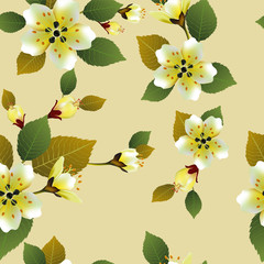 Seamless spring background with white flowers with green and yellow leaves