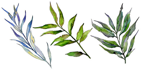 Willow branches in a watercolor style isolated. Aquarelle leaf for background, texture, wrapper pattern, frame or border. © yanushkov