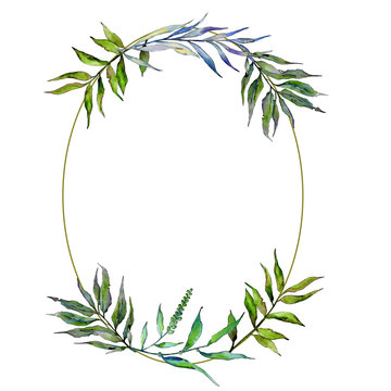 Willow branches in a watercolor style frame. Aquarelle leaf for background, texture, wrapper pattern, frame or border.