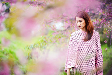 Beautiful Cherry Blossom with young woman at Khun Wang national park chiang mai in thailand