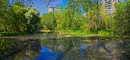 Abandoned wild pond with mud in the middle of the city park
