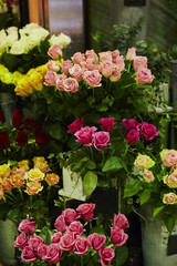Naklejka premium flowers