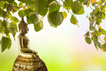 Buddha under Bodhi Leaf on nature background. Sacred Tree for Buddhist or Hindus and Beautiful natural blurred green background with sun rays.