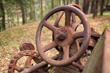 Close-up of an old rusty car steering wheel against a green coniferous forest