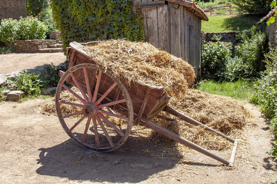 Charrette  de foin