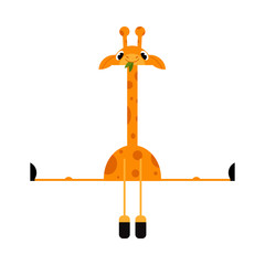 Naklejka premium Cute giraffe cartoon character with long neck doing splits isolated on white background. Funny comic yellow african animal with spots spreads his legs in different directions. Vector illustration.
