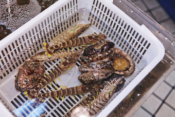 Seafood market