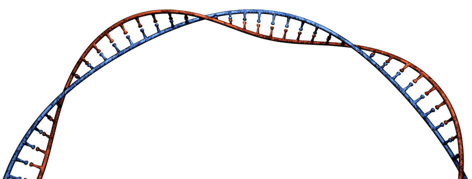 Dna, elica di Dna, acido desossiribonucleico &egrave; un acido nucleico che contiene le informazioni genetiche per lo sviluppo ed il corretto funzionamento degli organismi viventi
