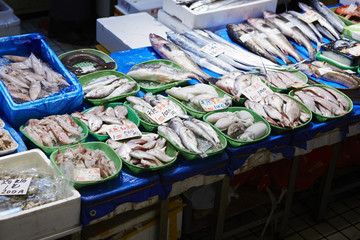 fresh fish at the market