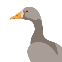 goose bird vector illustration flat style profile