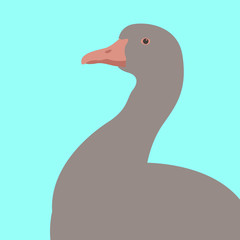 goose bird vector illustration flat style profile