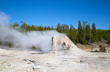 Geyser