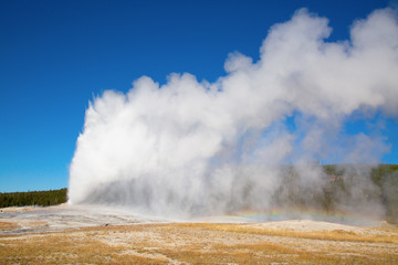 Geyser