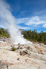 Geyser