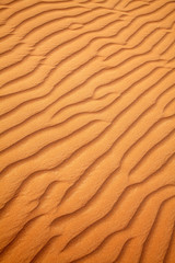 Red sand desert