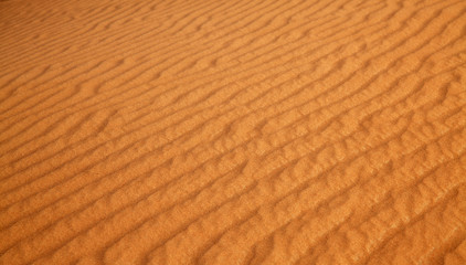 Naklejka premium Red sand desert