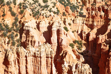 Bryce canyon