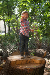 Little boy (5-6) on the trunk of a cut tree pointing with his finger