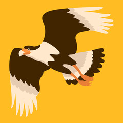 caracara eagle vector illustration flat style profile
