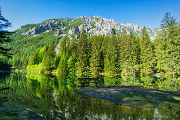 Fototapeta na wymiar Grüner See in Österreich