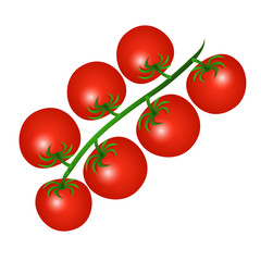 Vector illustration of a red cherry tomatoes on a branch isolated on a white background.