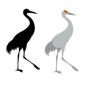 crane bird vector illustration flat style  black silhouette