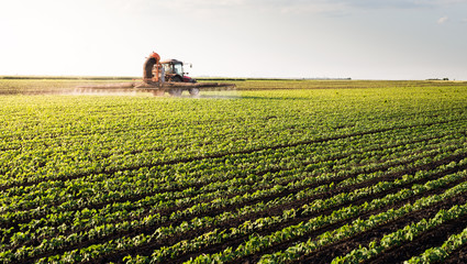 Obraz premium Tractor spraying soybean field