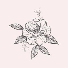 Flowers drawing and sketch with line-art 