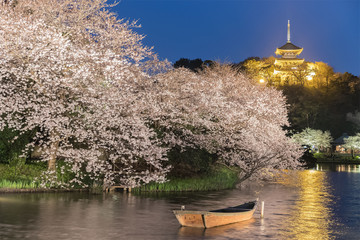 Yokohama Sankeien garden , a traditional and typical Japanese-style garden in Sakura bloom with...