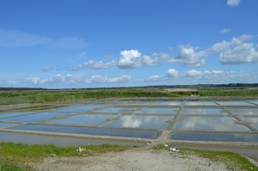 Paysage des marais salants de Guérande 