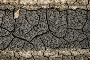 texture, earth, desert, drought, arid, background