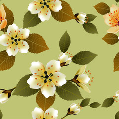 Seamless spring background with white flowers with green and yellow leaves