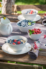 Breakfast in garden with berries, granola and milk