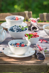 Closeup of breakfast with berry fruits and milk in garden